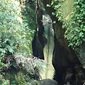 DSC05885.JPG
