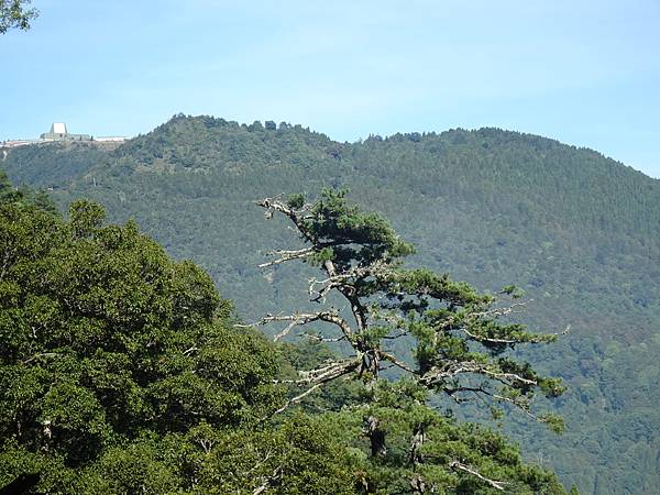 觀霧國家森林遊樂區 檜山巨木群步道 張學良文化園區 ㄚ麥的天空 桃園市逍遙遊登山協會 痞客邦