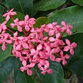 DSC04745.JPG