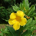DSC05258.JPG