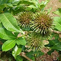 DSC05259.JPG