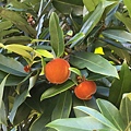 EBBBE363-A42D-485E-B460-46525FBBE78B.jpeg
