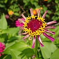 DSC00343.JPG