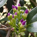 DSC00716.JPG