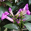 DSC00719.JPG
