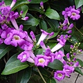 DSC00705.JPG