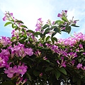 DSC00724.JPG