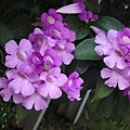 DSC00734.JPG