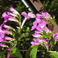 DSC00736.JPG