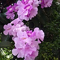 DSC00764.JPG