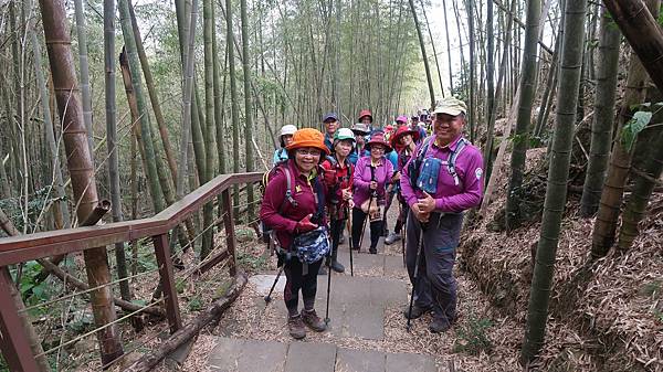 竹林步道上坡.jpg