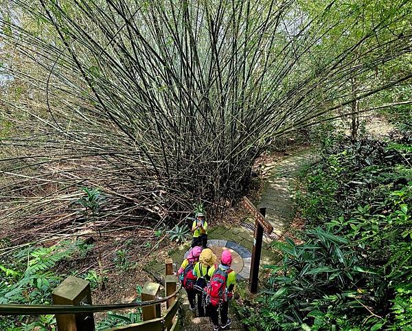 台北大縱走第六段。中華科技大學至象山公園