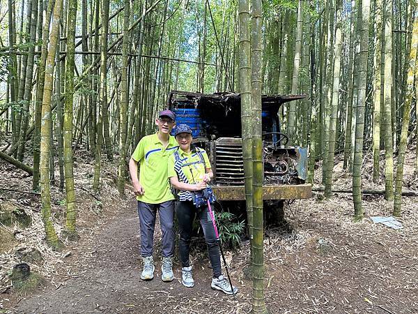 台中和平區長壽山。香杉林。竹林。森林浴