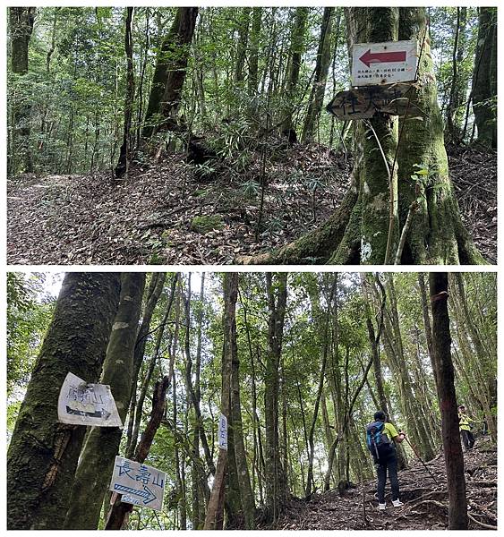 往大棟山鳶嘴山長壽山.jpg