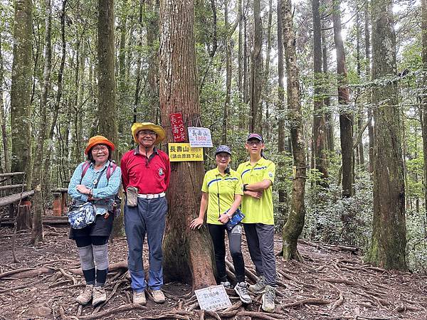 台中和平區長壽山。香杉林。竹林。森林浴