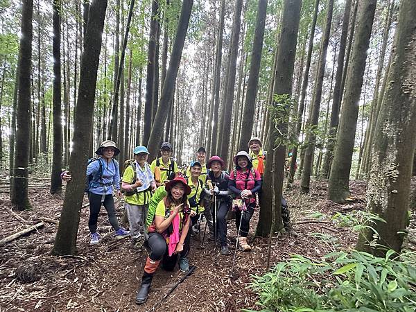 台中和平區長壽山。香杉林。竹林。森林浴