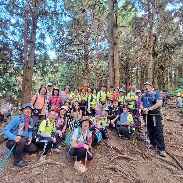 台中和平區長壽山。香杉林。竹林。森林浴