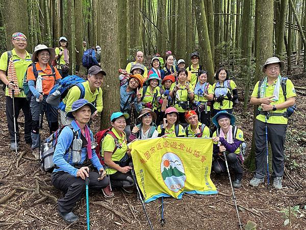 台中和平區長壽山。香杉林。竹林。森林浴