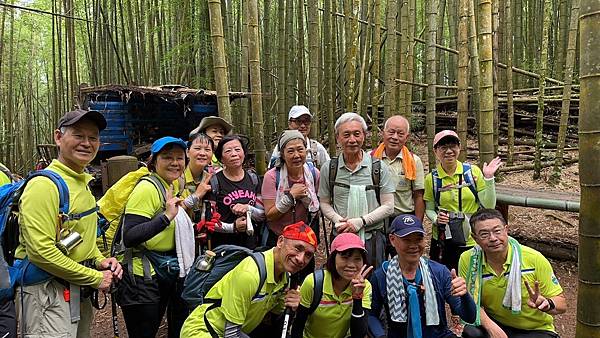 台中和平區長壽山。香杉林。竹林。森林浴