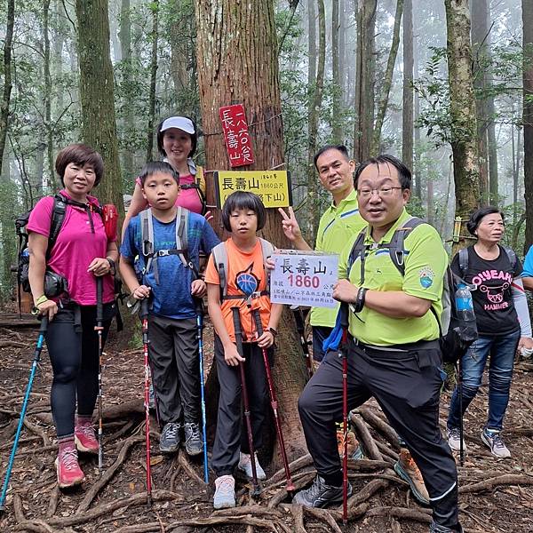 台中和平區長壽山。香杉林。竹林。森林浴