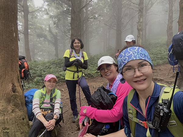 台中和平區長壽山。香杉林。竹林。森林浴