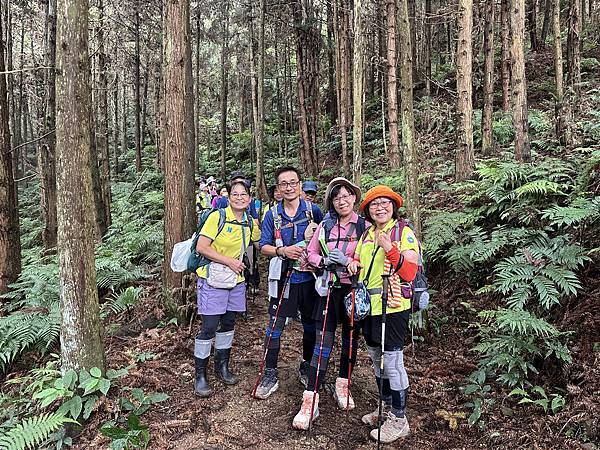 新竹縣五峰鄉。鵝公髻山。台灣小百岳