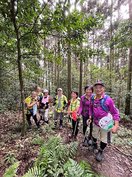 新竹縣五峰鄉。鵝公髻山。台灣小百岳