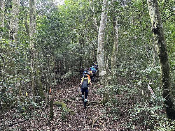 新竹縣五峰鄉。叁訪鵝公髻山。台灣小百岳