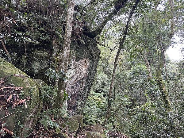 新竹縣五峰鄉。叁訪鵝公髻山。台灣小百岳