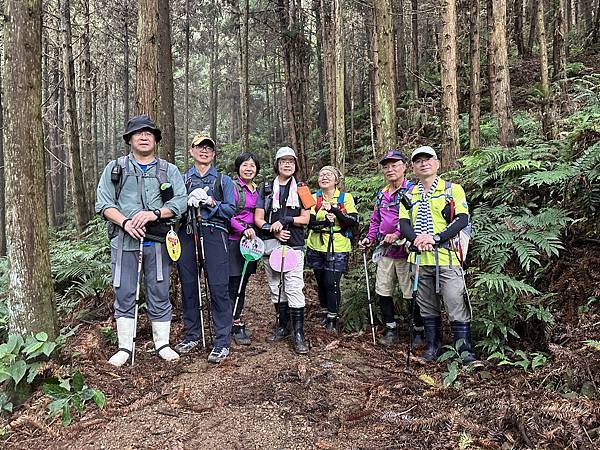 新竹縣五峰鄉。叁訪鵝公髻山。台灣小百岳