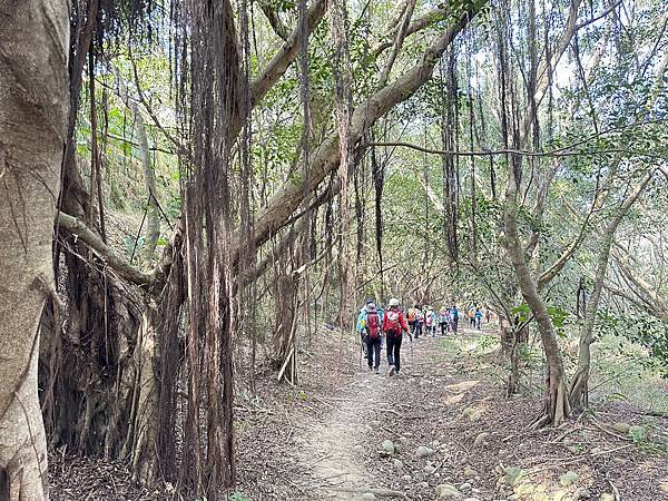 台中。大肚萬里長城步道。環狀路線健行