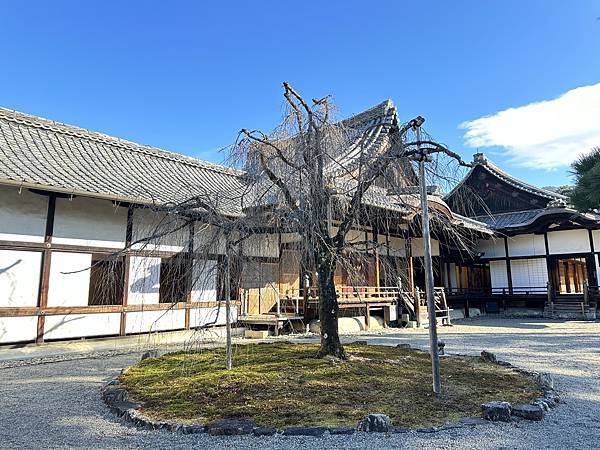 京都賞楓。醍醐寺。世界文化遺產。下醍醐