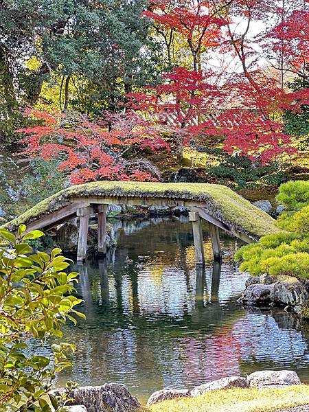 京都賞楓。醍醐寺。世界文化遺產。下醍醐