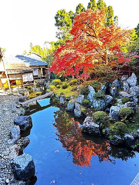 京都賞楓。醍醐寺。世界文化遺產。下醍醐