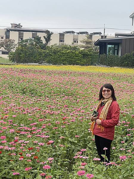 高雄美濃花海。繽紛登場。美濃湖