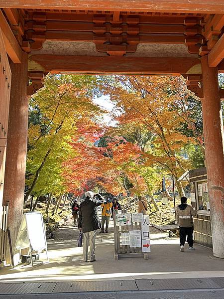 京都賞楓。醍醐寺楓情無限美。上醍醐。弁天池