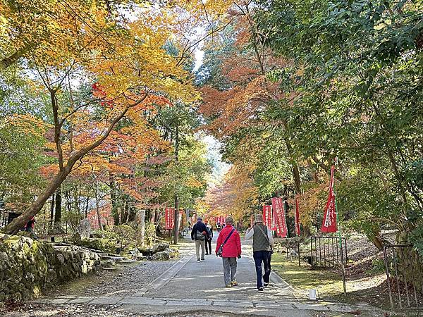 京都賞楓。醍醐寺楓情無限美。上醍醐。弁天池