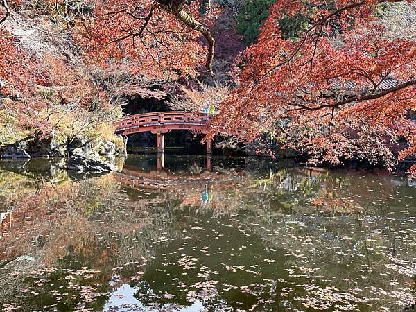 京都賞楓。醍醐寺楓情無限美。上醍醐。弁天池