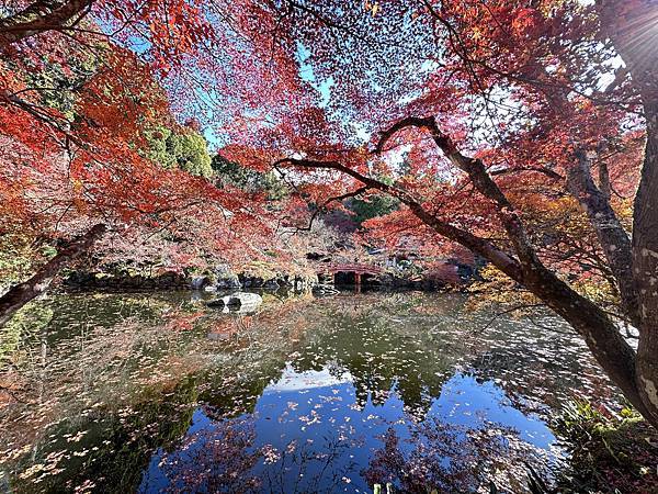 京都賞楓。醍醐寺楓情無限美。上醍醐。弁天池