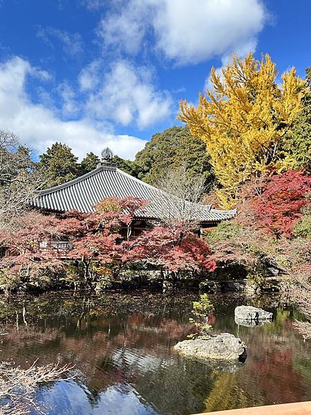 京都賞楓。醍醐寺楓情無限美。上醍醐。弁天池