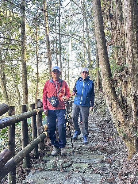 嘉義縣阿里山達邦社區。鳥占亭步道新春踏青