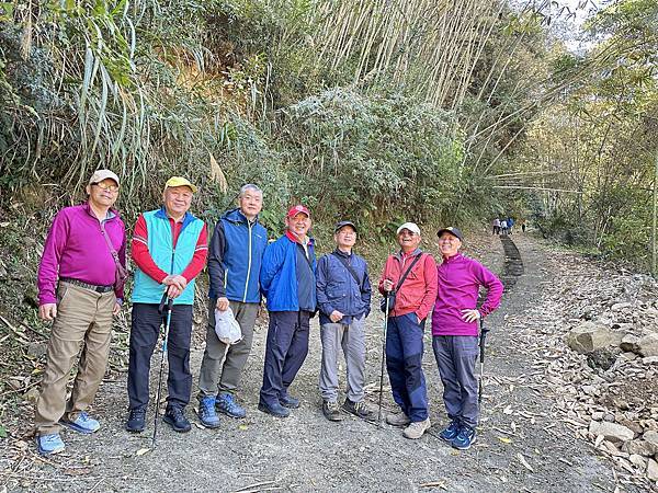 嘉義縣阿里山達邦社區。鳥占亭步道新春踏青