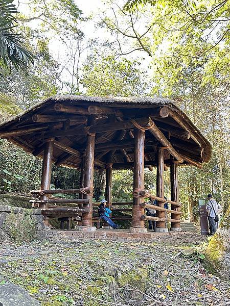 嘉義縣阿里山達邦社區。鳥占亭步道新春踏青