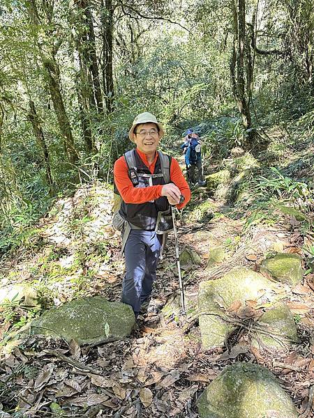 拉拉克斯巨木群探奇。嘉義縣阿里山鄉。