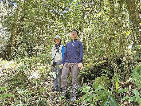 拉拉克斯巨木群探奇。嘉義縣阿里山鄉。