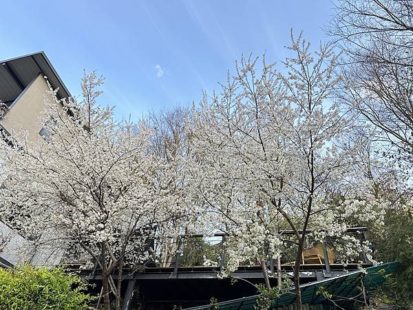 環山部落。屋頂上的天空。獵人登山步道。台中市和平區