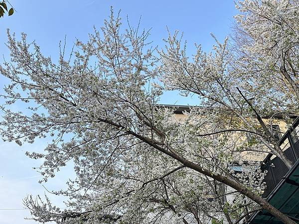 環山部落。屋頂上的天空。獵人登山步道。台中市和平區