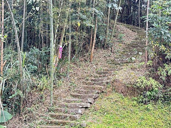 溪頭三山連走。志騰山。竹崙山。溪頭山(一)