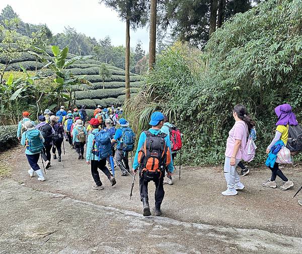 溪頭三連峰U型縱走。溪頭山[二]