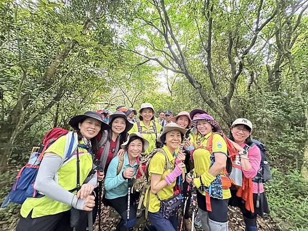 陽明山西段五連峰縱走。向天山。面天山。大屯山西峰。大屯山南峰